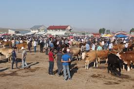 Kars hayvan pazari fi̇yatlari kars. Kurbanliklar Yola Cikmaya Basladi Son Dakika Haberleri