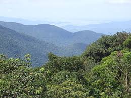 Resultado de imagen de CADENAS MONTAÑOSAS DE LA SELVA AFRICANA