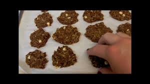 Weight watchers is a program that encourages participants to stay active and to eat right. Weight Watchers Friendly Recipe Pb2 Chocolate Oat Cookies Youtube