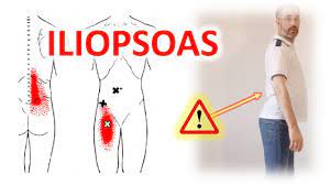 You will, however, feel deep pain in. Lower Back Pain Groin Pain Muscle Pain In Thigh Do You Have Iliopsoas Muscle Pain Youtube