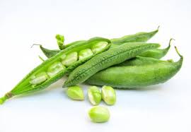 Image result for Dolichos