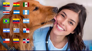 Porque Se Celebra El Dia Del Veterinario En Fechas Diferentes En Cada Pais Medvetsite