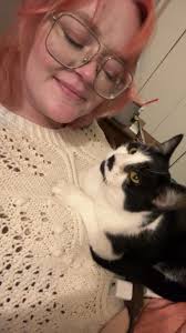 Lost cat in Woodland Park near Teller Ln, needs help finding before moving