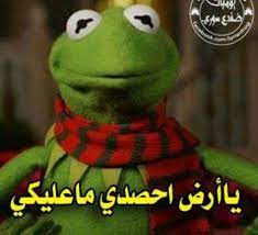 لا تعليق يا ضفدع funny arabic quotes arabic funny funny frogs