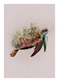 Tous les aspects de la tortue seront abordés. Affiche Animals Paradise Tortue Komar L 50 X H 70 Cm Leroy Merlin