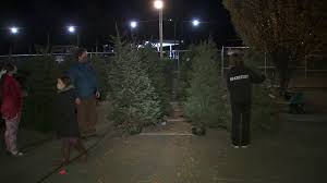 Christmas tree shopping at stew leonard's. Bay Area Christmas Tree Lots Seeing Boom In Business During Covid 19 Pandemic Abc7 San Francisco