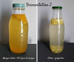 Le Kefir De Fruit Une Boisson Aux Multiples Vertus Kefir De Fruit Kefir Mangue Sechee