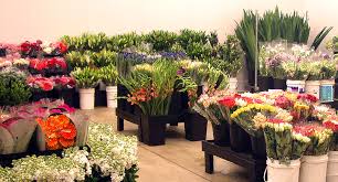 Fresh cut flowers wholesale to the public. Tony S Flowers Farming Importing Wholesale Retail