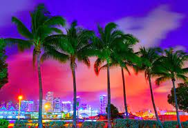 Hd wallpapers and background images. Miami Skyline Sunset With Palm Trees Florida Miami Skyline At Sunset With Palm Sponsored Sunset Skylin Miami Skyline Miami Sunset Culinary Arts Schools