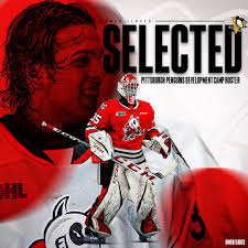 Vanessa Ferretti (@vanessamelindaf)