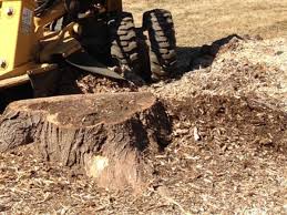 The main difference between tree stump removal and stump grinding is that with removal, whatever is left of the tree is taken from the ground. Tree Stump Grinding Faqs Barts Tree Service