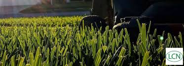 Official page of allyn hane, the lawn care nut. Summer Lawn Tips With Allyn Hane Milorganite