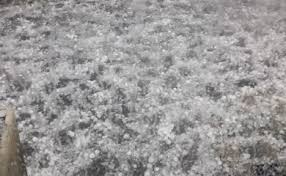 Maybe you would like to learn more about one of these? Grandine Torino News 24 Le News Da Torino