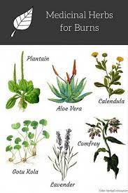 exceptional herbal remedies info are available on our internet site have a look and you wont be sorry you did herba natural healing remedies herbs herbalism