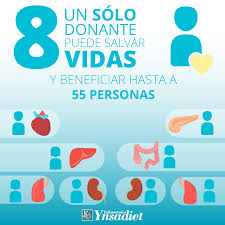 El ministro de salud, ginés gonzález garcía, dijo que la cantidad de cirugías con órganos donados fue de cuatro por día en mayo. 14 De Octubre Dia Mundial De La Donacion De Organos Y Tejidos Donacion De Organos Tejidos Y Organos Pastillas Para Adelgazar