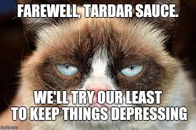 Anything to do with cats? Grumpy Cat Not Amused Meme Imgflip