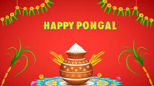 Mattu pongal is celebrated on january 14, 2021. Wam Nfeof3y5tm