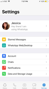 Read only access to phone state. Download Whatsapp Messenger For Ios Free 2 21 60