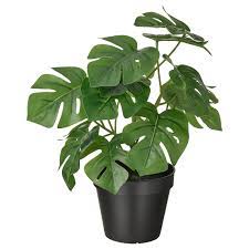 To grow potted plants, choose a container with holes at the bottom for drainage, and enough space for the plant to grow. Fejka Artificial Potted Plant In Outdoor Monstera 12 Cm Ikea