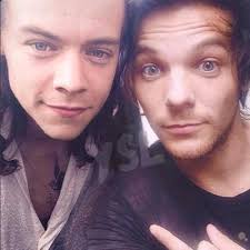 larry stylinson (@stylinson0)