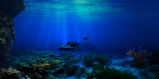 Harsh environment view harsh environment rigs. Nine Things You May Not Know About Deep Water Diving Scuba Diver Life