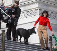 The Identity Crisis of Marie Gluesenkamp Perez