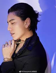 Vương Đại Lục/Darren Wang/王大陸