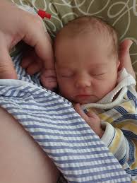 VOTE NOW: Tassie's Cutest Newborn