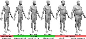 Bmi Calculator Of Body Mass Index For Men And Women