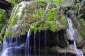 Consequently, the spelling of scottish names was an migration of the bigar family. Cascada Bigar Fotos
