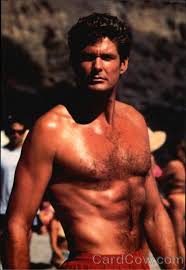 David hasselhoff‏подлинная учетная запись @davidhasselhoff 23 янв. 17 David Hasselhoff Ideas David Knight Rider Baywatch