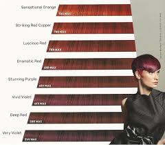 Goldwell Max Reds In 2019 Hair Color Formulas Red Hair