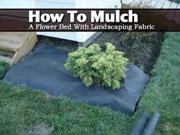 Discover The Pros And Cons Of Using Landscape Fabric Mulch Landscaping Landscape Fabric Flower Beds