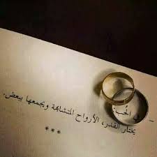 Arabic Image Calligraphy Quotes Love Short Quotes Love Quotes For Book Lovers