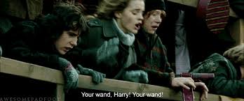 Harry potter is a series of seven fantasy novels written by j.k. 26 Harry Potter Quotes Made Hilarious By Replacing Wand With Penis