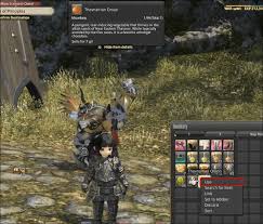 The first stages of the quest require you to go and fetch some gysahl greens for luquelot, who will then explain the ins and outs of fighting alongside your chocobo to you. How To Get A Chocobo In Ffxiv