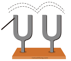 We did not find results for: Resonansi Bunyi