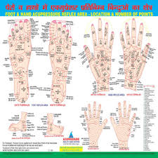 Reflex Area_numbers Charts Acupressure Health Care Centre