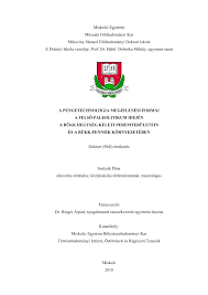 Felfigyeltem a vízpart kihasználatlanságára és a duna kivételezett helyzetére a városban. Pdf A Pengetechnologia Megjelenesi Formai A Felso Paleolitikum Idejen A Bukk Hegyseg Keleti Peremteruletein Es A Bukk Fennsik Kornyezeteben