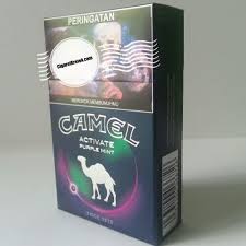 Understanding how much absorbed nicotine is in one cigarette, will provide smokers with a baseline for understanding how much nicotine would be required from an alternate source. Camel Activate Purple Mint Cigarettes Cigaretkretek Com