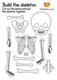206 bones of the human body. Human Body Systems For Kids Free Printables Homeschooling 123 Kids Fun Apps