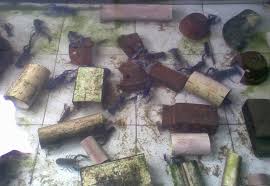 Saya sering diajukan soalan oleh pengusaha atau penternak baru yang ingin menceburi bidang. Panduan Ternakan Rujukan Fs Heritage Resources