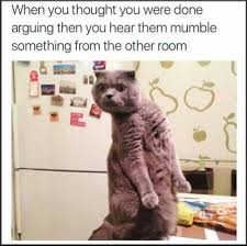 Pin By Stacey Riley On Funny Funny Pictures Funny Animals Funny Animal Pictures