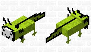 Keep your gameplay endlessly inventive and fun with skin packs, texture packs, and. Axolotl Dream Skin Minecraft Mob Skin
