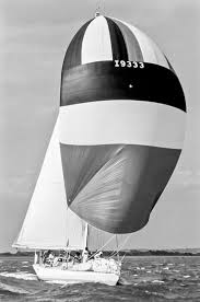 Image result for White 1981 Fleet