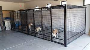 Check spelling or type a new query. Dog Areas In House Garage Dogareasinhousegarage Indoor Dog Kennel Pet Kennels Dog Boarding Kennels