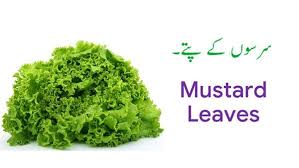 Vegetable Names In English And Urdu With Pictures Download Pdf Vegetables Name Of Vegetables Fruits Name In English