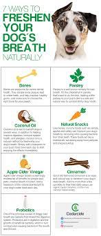 Regular brushing helps to remove all this debris and keep the coat fresh and clean. 7 Ways To Freshen Your Dog S Breath Naturally Dog Breath Natural Dog Breath Freshener Bad Dog Breath