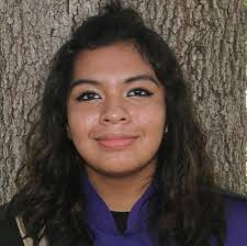 Bean, Davidson, Morris win local races