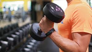 gym equipment brands in india